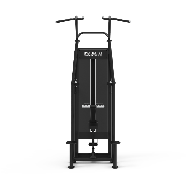 Standing Assisted Chin/Dip - Nemesis Series