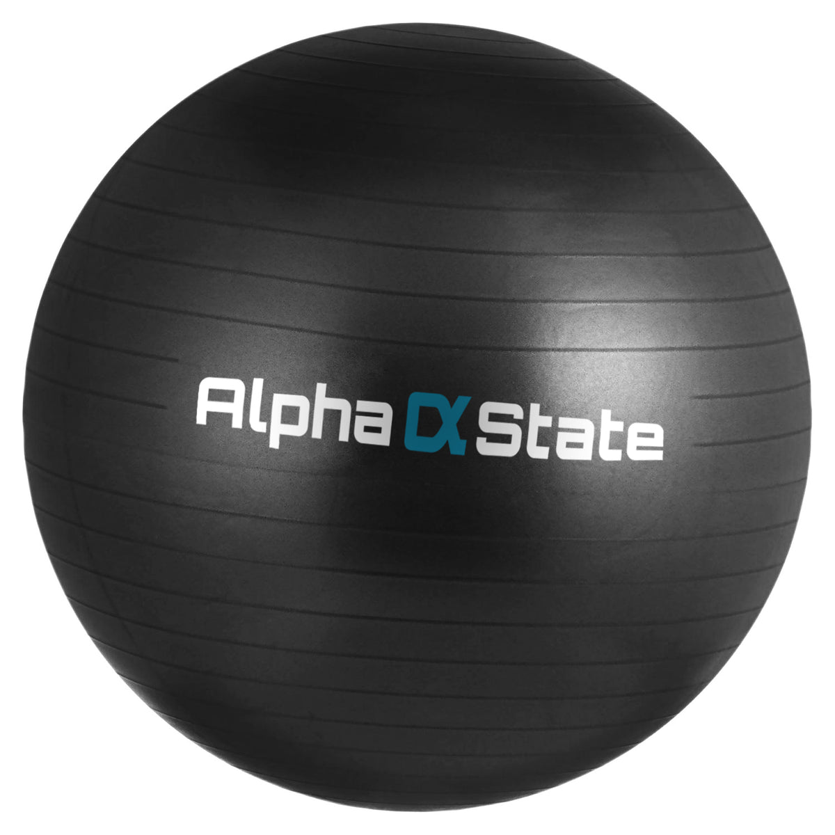 Functional Equipment Gym Ball AlphaState Fitness